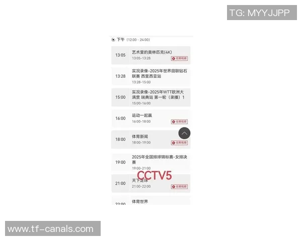 CCTV5直播德国对阵瑞典精彩赛事回顾与分析